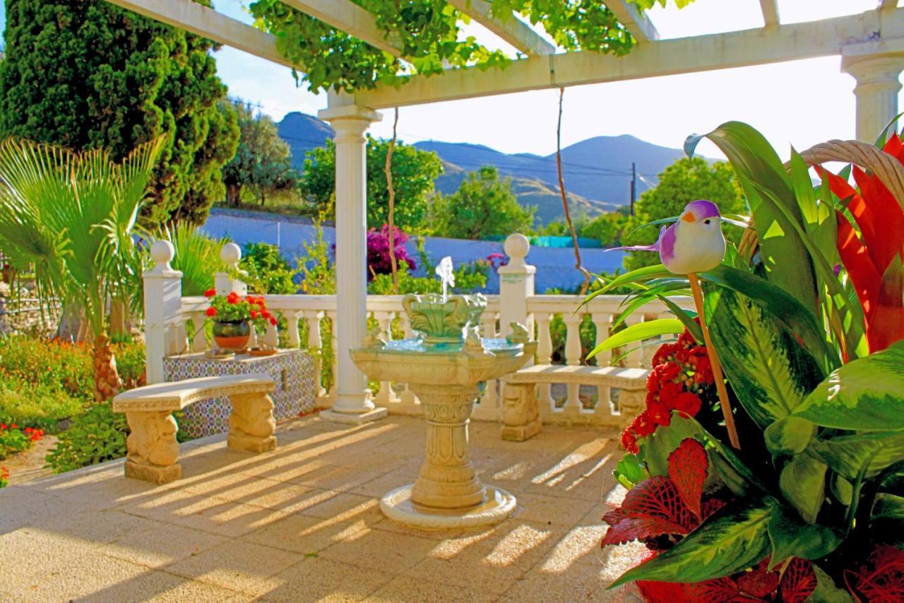 Villa Adelaida ออร์กิวา ภายนอก รูปภาพ
