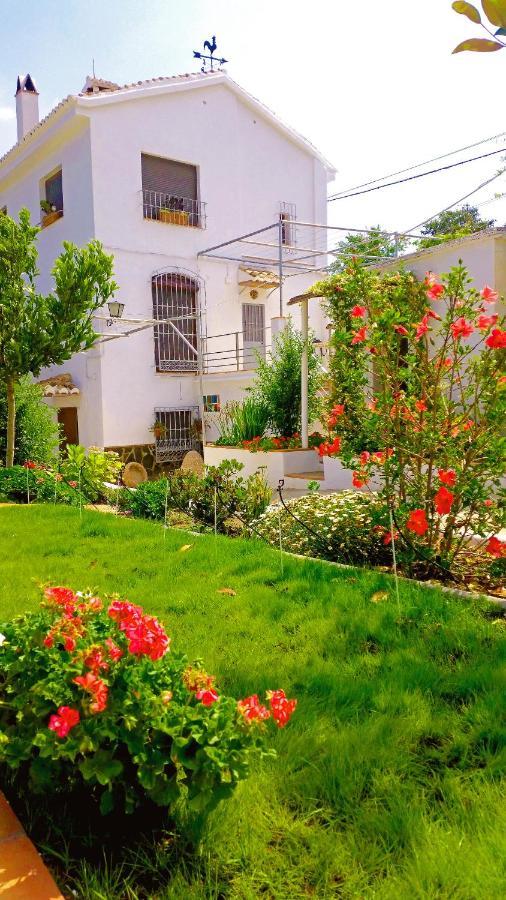 Villa Adelaida ออร์กิวา ภายนอก รูปภาพ