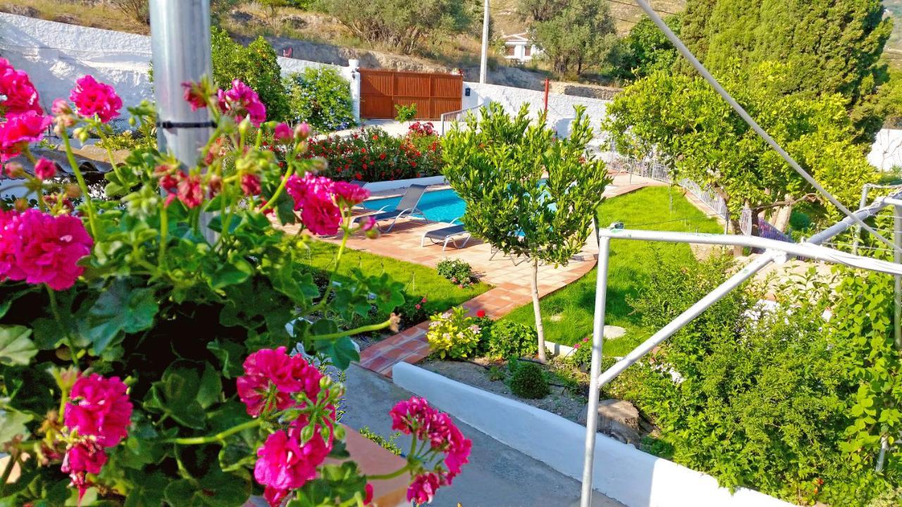 Villa Adelaida ออร์กิวา ภายนอก รูปภาพ